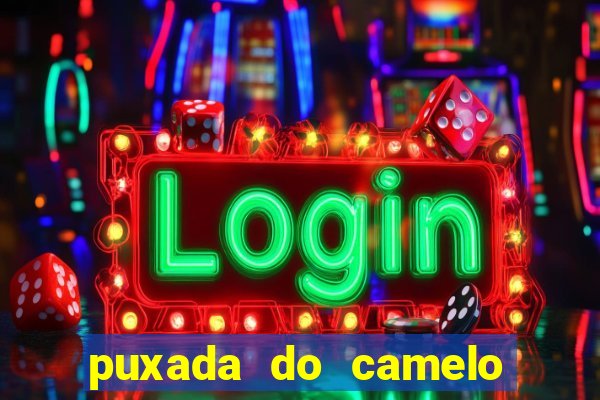 puxada do camelo no jogo do bicho